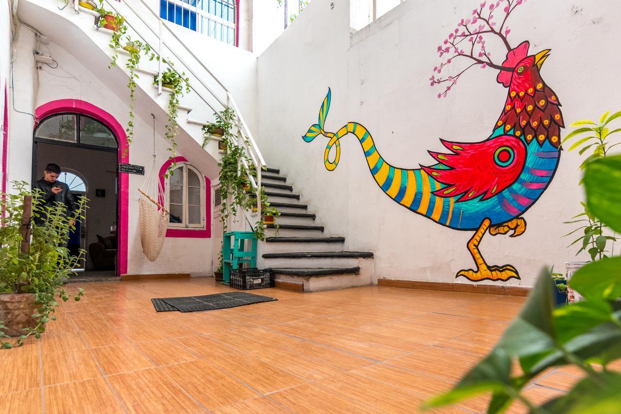 Taiyari Hostal Monterrey Buitenkant foto